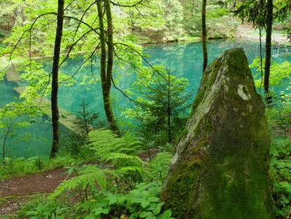 2020 Mit Abstand durchs wildromantische Lubenbachtal