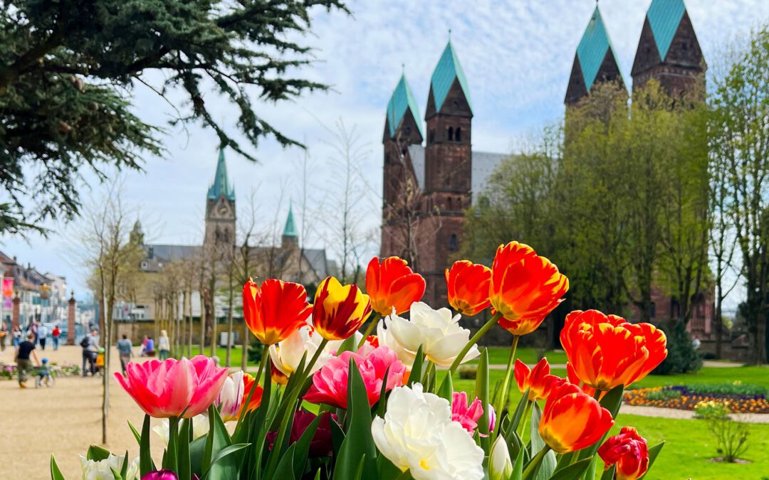 2025 Vom Paradies der Farben und Düften über Edersee-Atlantis zum Oberwaldberg