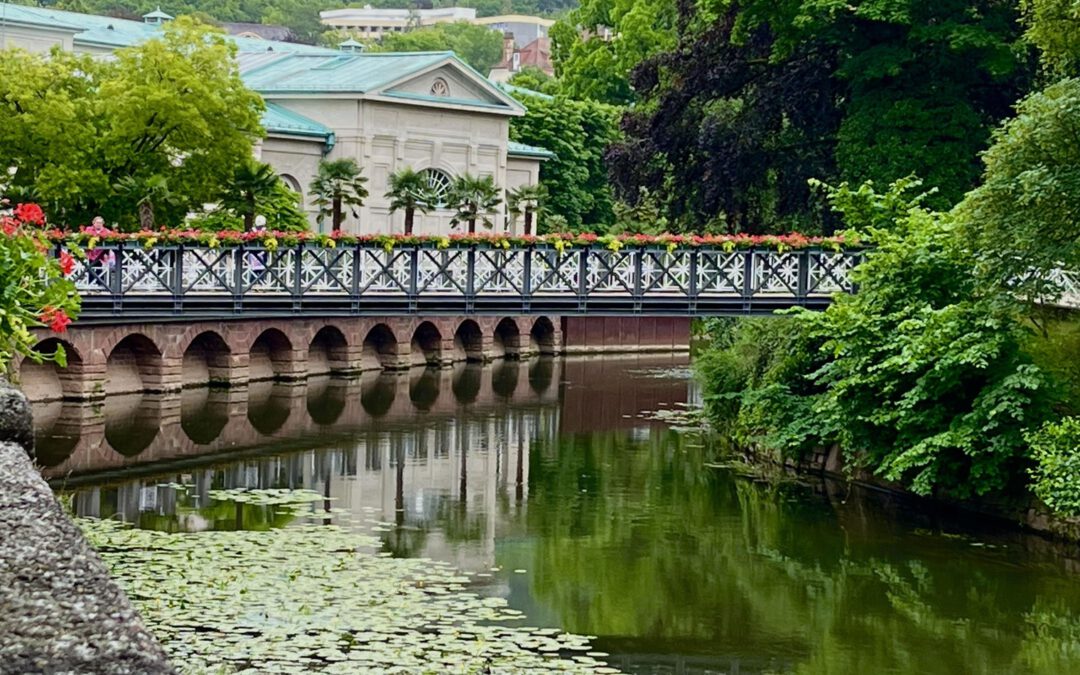 2026 Wunderschöne Choreografien in der Rosenstadt Bad Kissingen